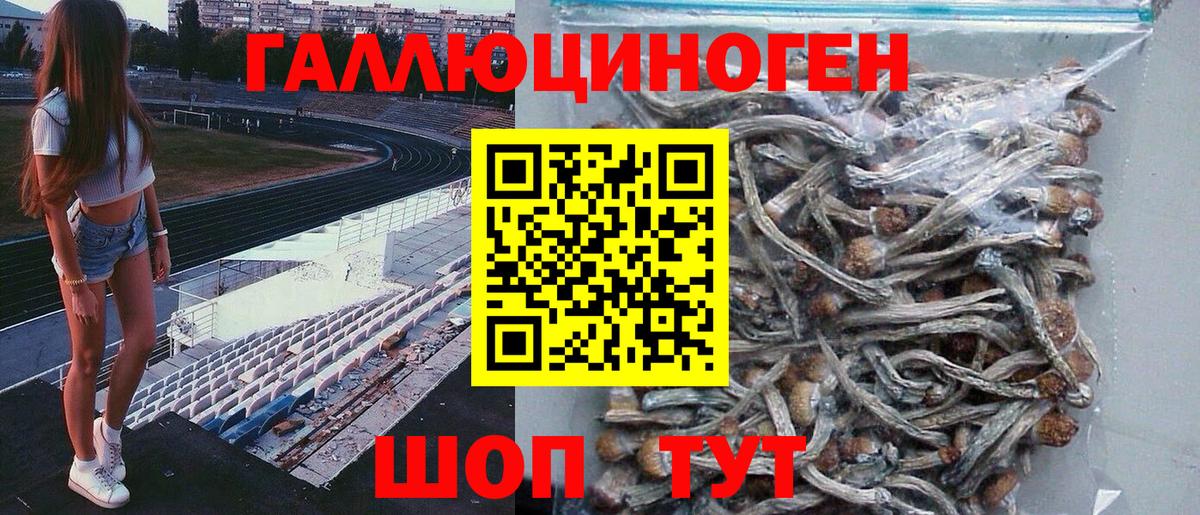 Галлюциногенные грибы Psilocybine cubensis  Псилоцибиновые грибы Psilocybe  Коркино  купить наркотики цена  Вход с VPN 